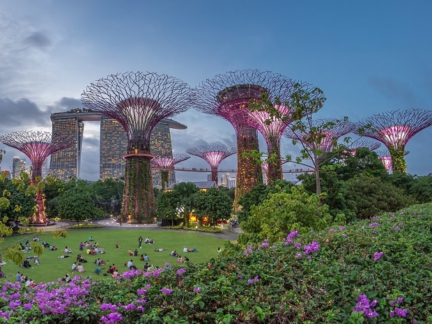 Futuristic,Aerial,View,Of,Illumination,At,Garden,By,The,Bay