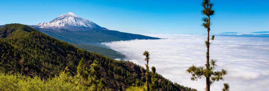 שייט קרוז לאיים הקנריים